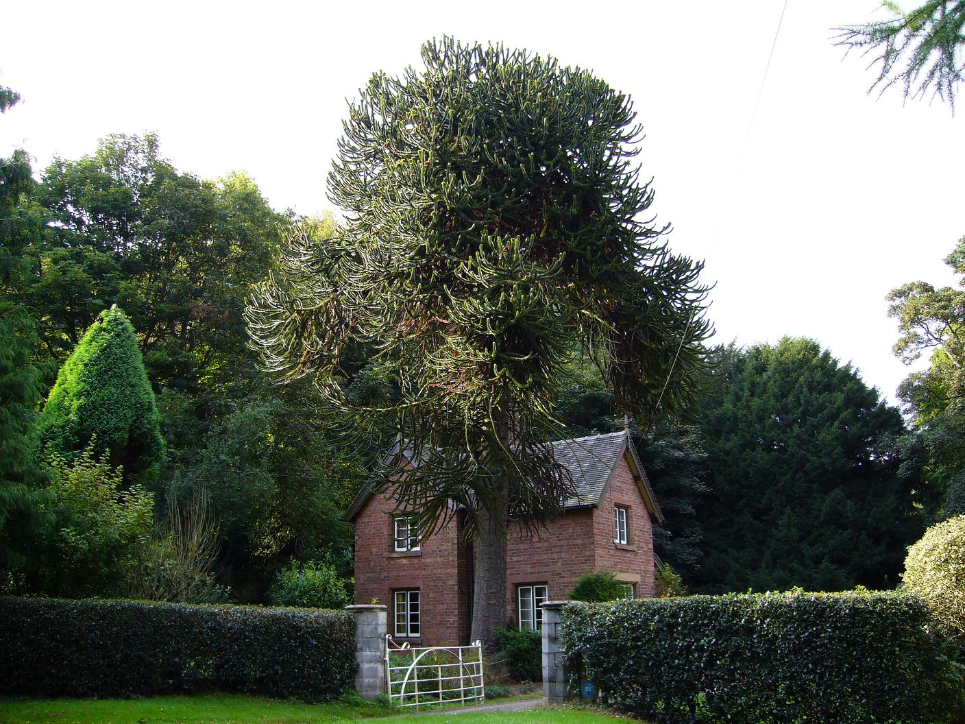 Telford, Shropshire, England